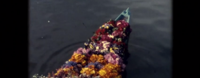 Chin Family Collection